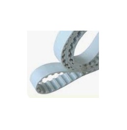 Belt pu white   copy