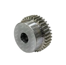 Spur gear